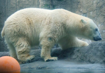 �ق����傭���܊�1