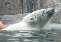 �ق����傭���܊�2