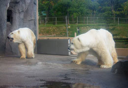 �ق����傭���܊�3