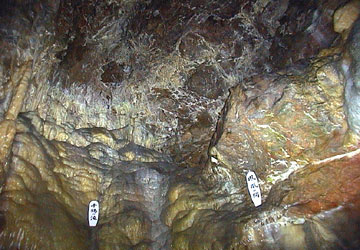 �����ߓ���3