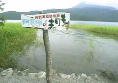 �}������������`���E���C��