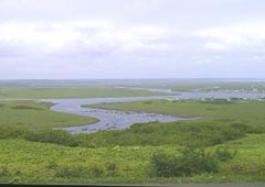 �����z����