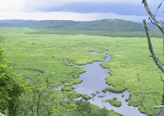 ���H����1