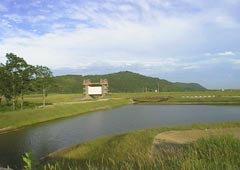 ���H����3