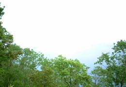 ���̖�����3�iT.M.�񋟁j