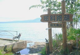 ���ΘH��1�iT.M.�񋟁j