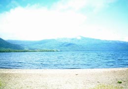 ���ΘH��2�iT.M.�񋟁j