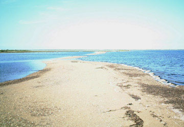 ��t�����̌i�F1