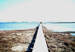 ��t�����̌i�F2