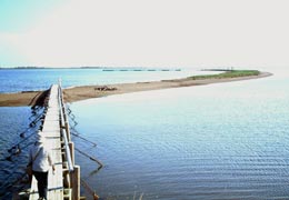 ��t�����̌i�F3