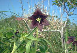 �N������