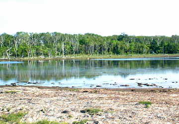 �i������