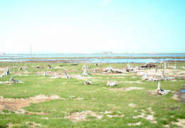 �g�h����2