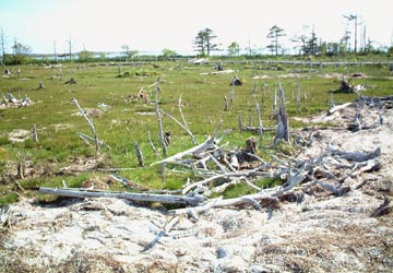 �g�h����3