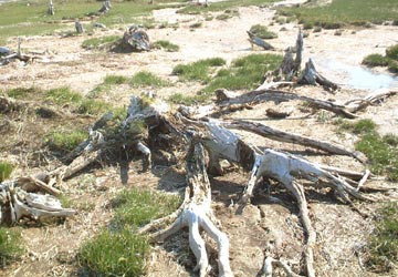 �g�h����4