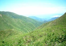 �m��������݂��i�F1