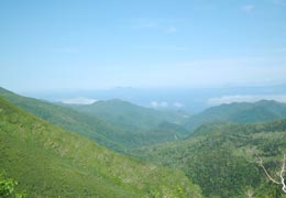 �m��������݂��i�F2