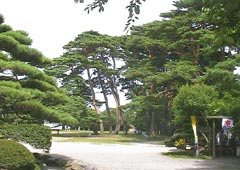 �ܗŊs����2