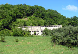 �Y�z�������A���X�ь���3